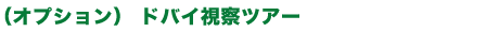 ドバイ視察ツアー(オプション)