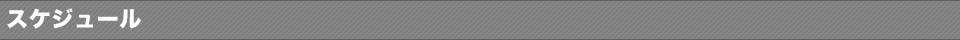 スケジュール